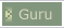 Guru